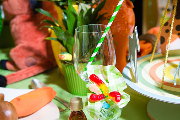 aniversario o rei leao clarissa rezende