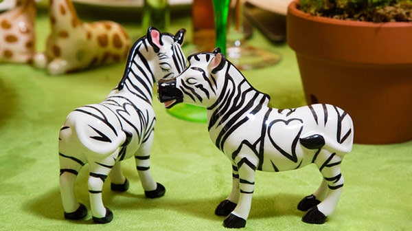 aniversario o rei leao clarissa rezende