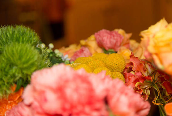 aniversario o rei leao clarissa rezende