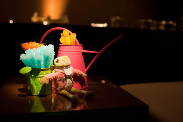 brit mila peter rabbit clarissa rezende vanessa kohler