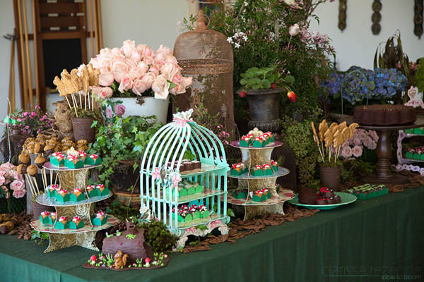 festa infantil fazenda clarissa rezende