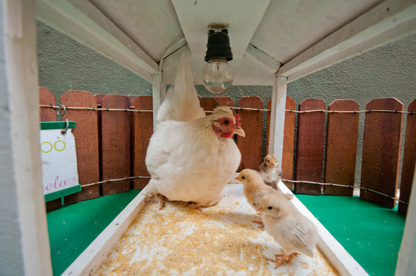 festa-infantil-duas-gastronomia-04