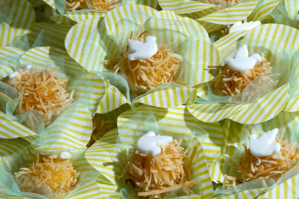 batizado-rio-de-janeiro-denise-do-rego-macedo-10