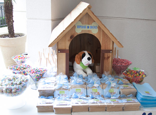 festinha-cachorros-fete-12