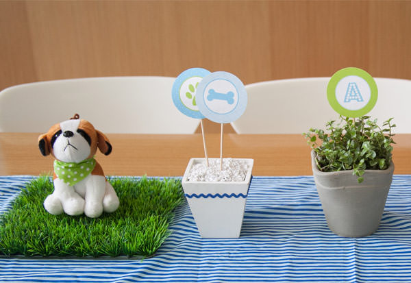 festinha-cachorros-fete-16