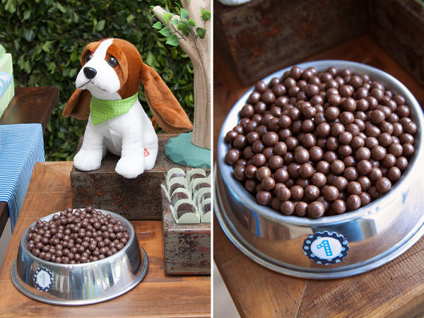 festinha-cachorros-fete-6