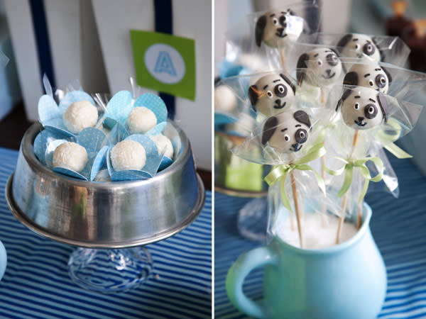 festinha-cachorros-fete-9