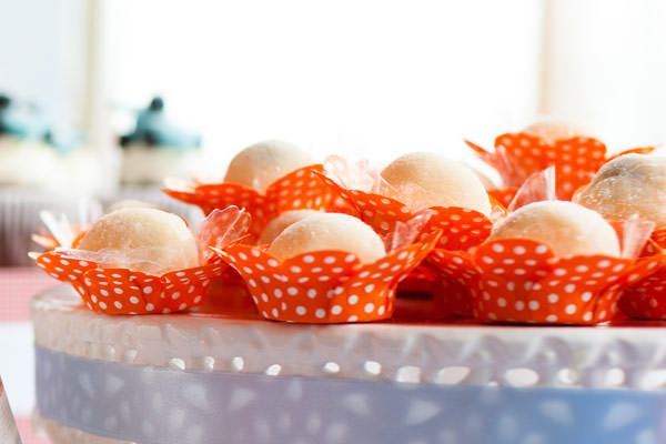 Festa-Carrinhos-Aline-Inagaki-14