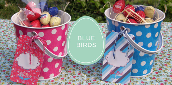 pascoa-blue-birds-2014