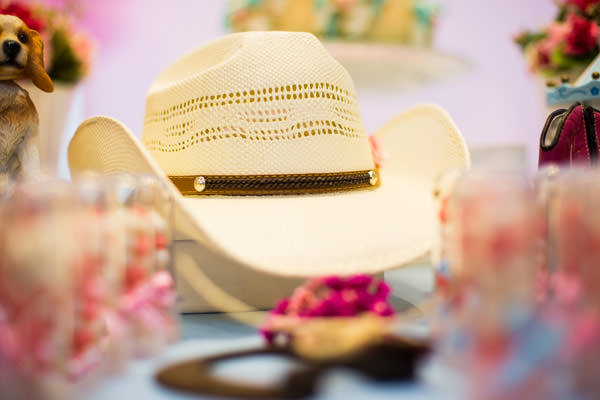 Festinha-Elefante-Colorido-cavalinho-1.13