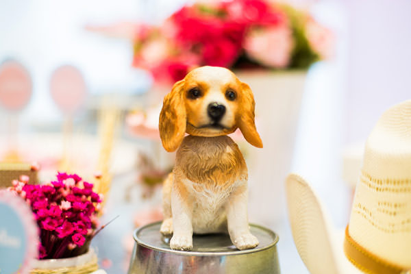 Festinha-Elefante-Colorido-cavalinho-1.3