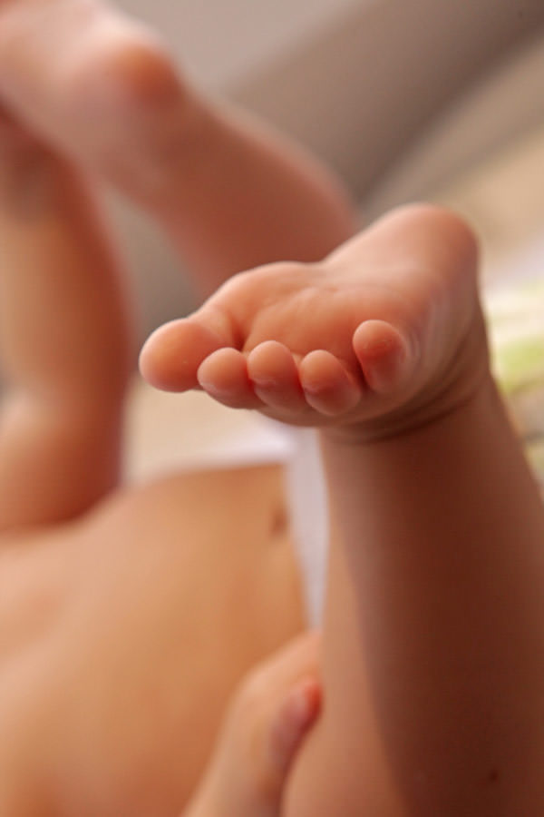 no-ninho-juliana-gutierrez-07