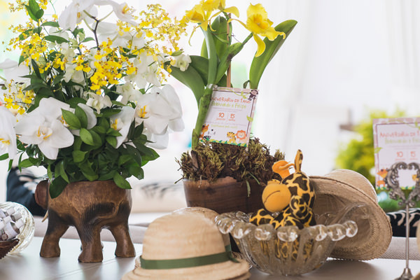 Festinha-Juliana-Bajon-Safari-9