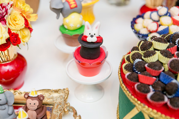 cz-babies-kides-festinha-infantil-jazz-fernanda-bozza-circo-no-manioca-11