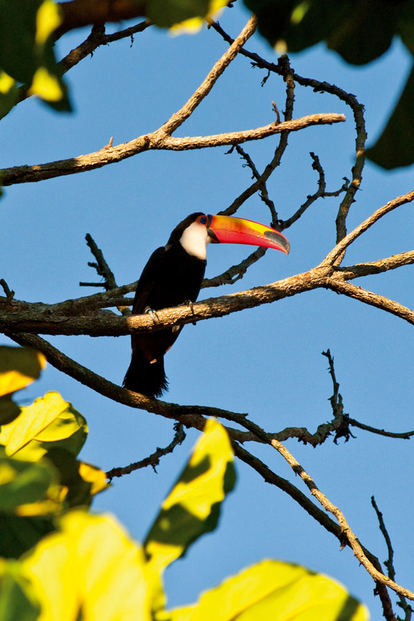 Férias com crianças no Brasil