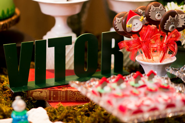 cz-babies-kids-fesrinha-infantil-camila-coura-chapeuzinho-vermelho-10