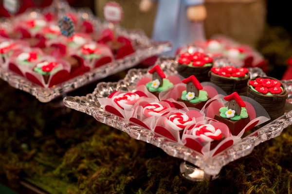 cz-babies-kids-fesrinha-infantil-camila-coura-chapeuzinho-vermelho-8