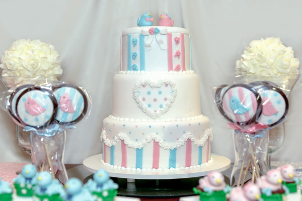 cha-revelacao-tema-passarinhos-mesa-de-doces-mon-gateau