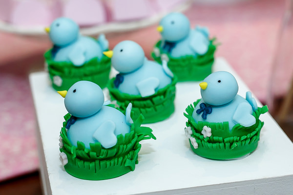 cz-babies-kids-cha-de-bebe-cha-de-revelacao-mon-gateau-10