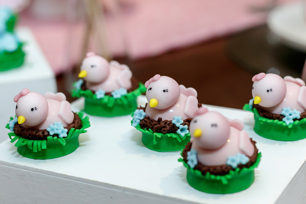 cz-babies-kids-cha-de-bebe-cha-de-revelacao-mon-gateau-11