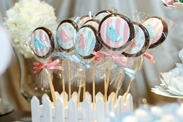 cz-babies-kids-cha-de-bebe-cha-de-revelacao-mon-gateau-14