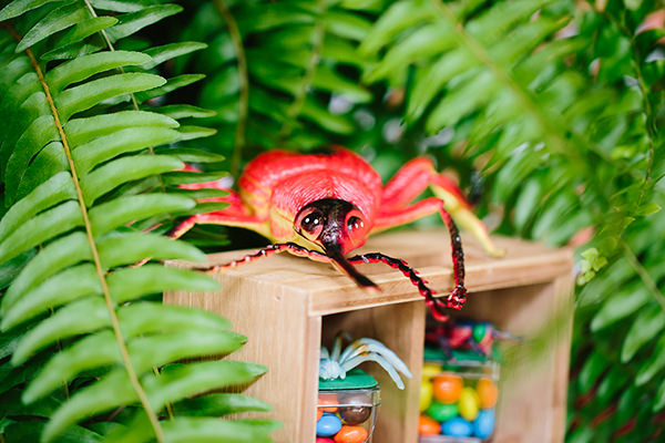 festa-infantil-com-tema-mata-atlantica-caraminholando-10