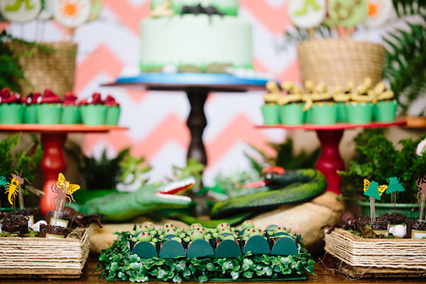 festa-infantil-com-tema-mata-atlantica-caraminholando-12