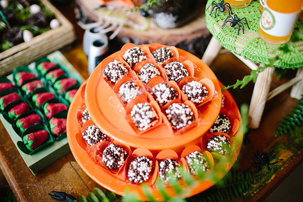 festa-infantil-com-tema-mata-atlantica-caraminholando-13