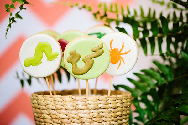 festa-infantil-com-tema-mata-atlantica-caraminholando-15