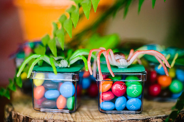 festa-infantil-com-tema-mata-atlantica-caraminholando-20