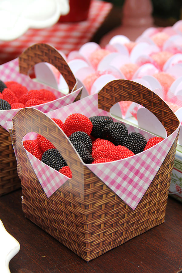 decoracao-festa-infantil-pic-nic-fabiana-moura10