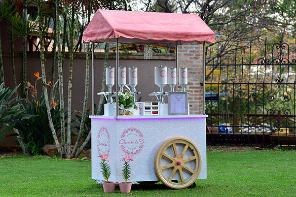 carrinhos-gourmet-para-festa-infantil5