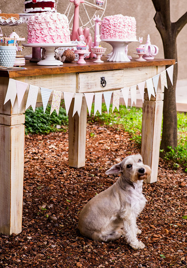 cha-de-bebe-menina-decoracao-no-jardim-addad-kids-03