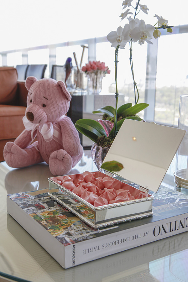 cha-de-bebe-menina-casa-das-festas-sylvia-braz-10