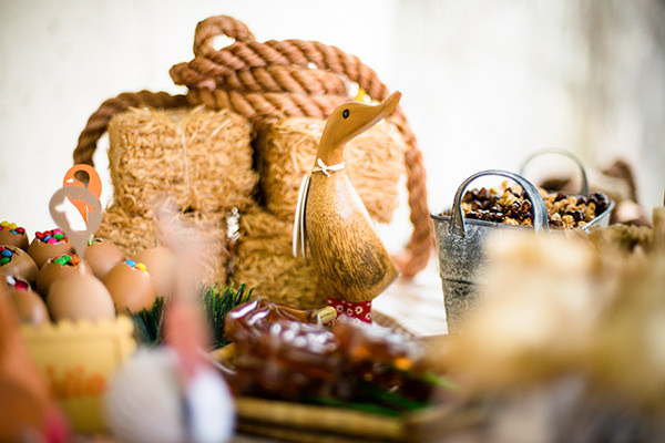decoracao-festa-infantil-bazendinha-buffet-addad-kids6