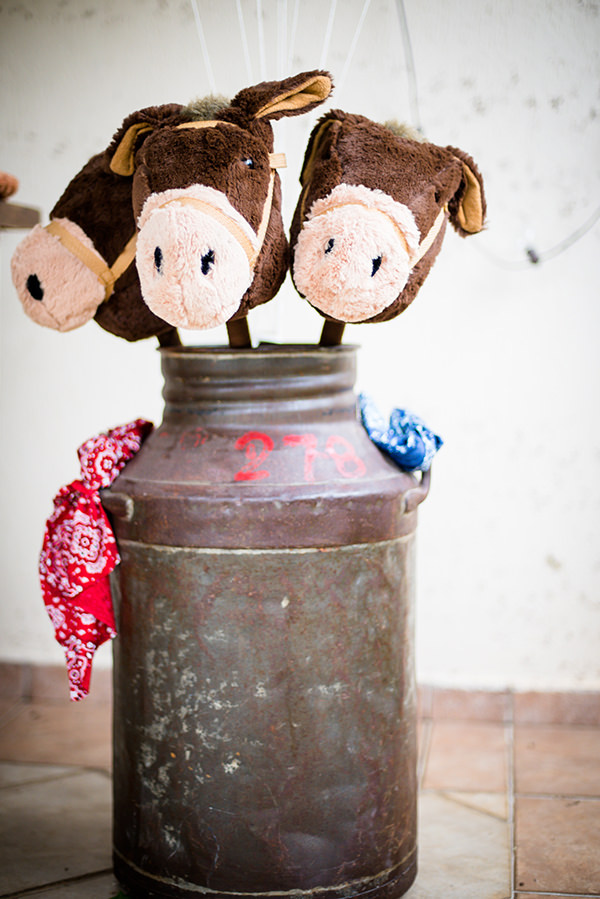 decoracao-festa-infantil-bazendinha-buffet-addad-kids7