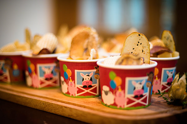 decoracao-festa-infantil-bazendinha-buffet-addad-kids8