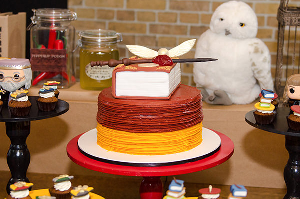 Festinha infantil, Festa Harry potter, Tema Harry Potter, Carami