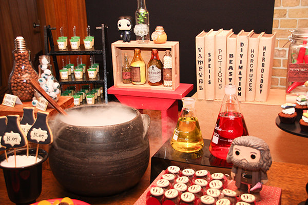 Festinha infantil, Festa Harry potter, Tema Harry Potter, Carami