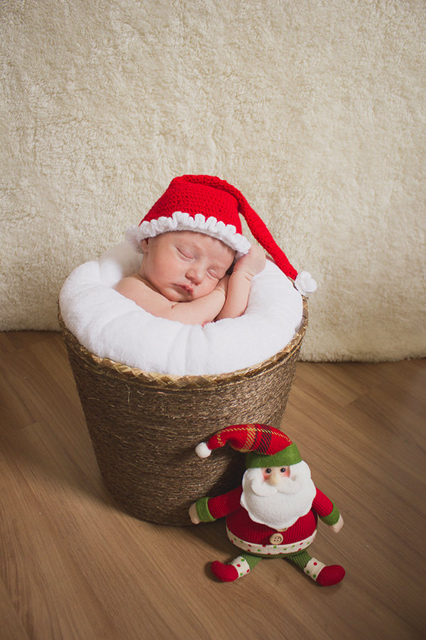 Ensaios natalinos: pequenos ajudantes do papai Noel dão show de fofura