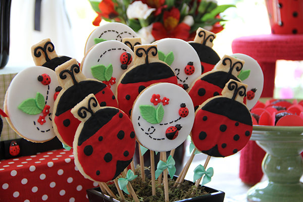 Festinha, <span class=